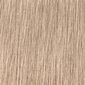 Kauapüsiv juuksevärv Schwarzkopf Igora Royal HighLifts 12.19, 60 ml hind ja info | Juuksevärvid | kaup24.ee