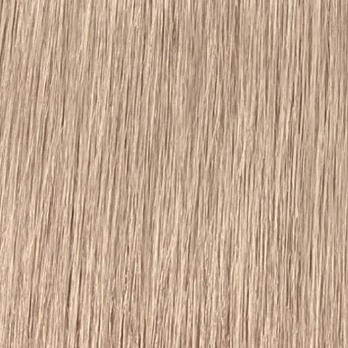 Стойкая краска для волос Schwarzkopf Igora Royal HighLifts 12.19, 60 ml  цена | kaup24.ee