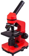 Микроскоп Levenhuk Rainbow 2L, фиолетовый цена и информация | Телескопы и микроскопы | kaup24.ee