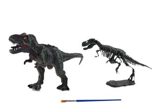 Noore arheoloogi komplekt koos dinosaurusega hind ja info | Arendavad mänguasjad | kaup24.ee