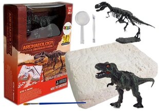 Noore arheoloogi komplekt koos dinosaurusega цена и информация | Развивающие игрушки | kaup24.ee