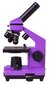 Levenhuk Rainbow 2L PLUS hind ja info | Mikroskoobid ja teleskoobid | kaup24.ee