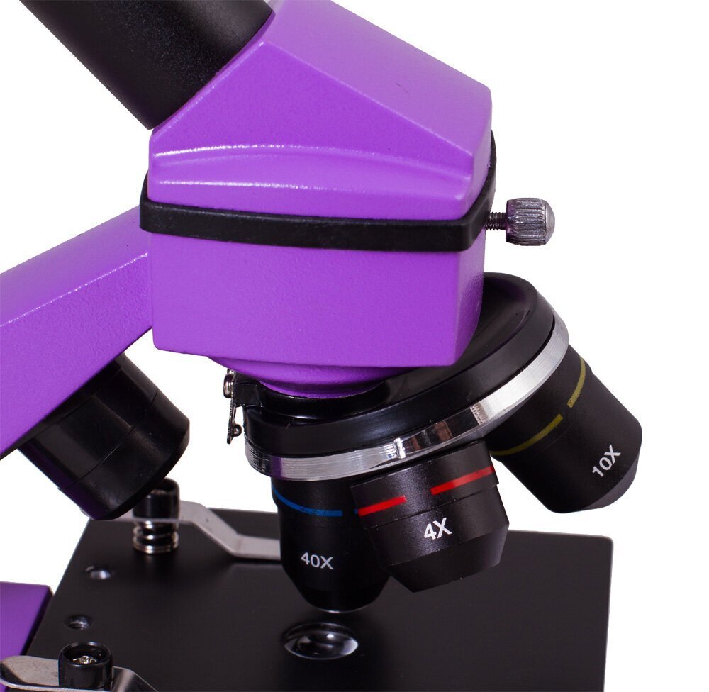 Levenhuk Rainbow 2L PLUS цена и информация | Mikroskoobid ja teleskoobid | kaup24.ee