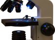 Levenhuk Rainbow цена и информация | Mikroskoobid ja teleskoobid | kaup24.ee