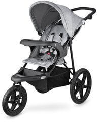 Беговая коляска + коляска для детей 0мес+ Moby-System MOUNTAIN цена и информация | Коляски | kaup24.ee