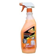 Plekieemaldaja De Lázaro Orange, 750 ml цена и информация | Очистители | kaup24.ee