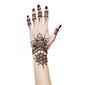 Puuder kehale ja juustele maalimiseks, Chna Mendhi Pure Henna Ayumi, 100 gr. hind ja info | Juuksevärvid | kaup24.ee