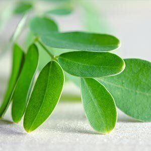 Tasakaalustav juuksepalsam Ayumi Moringa Neem, 250 ml hind ja info | Juuksepalsamid | kaup24.ee