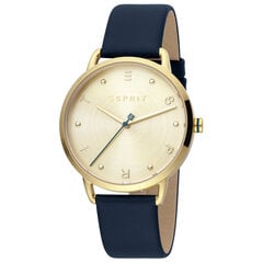 Женские часы Esprit ES1L173L0035 цена и информация | Женские часы | kaup24.ee