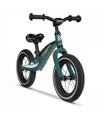 Tasakaaluratas Lionelo Bart Air, Green Forest цена и информация | Балансировочные велосипеды | kaup24.ee