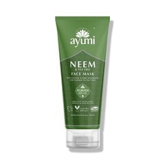 Puhastav näomask neemipuuga Neem Tea Tree Ayumi, 100 ml hind ja info | Näomaskid, silmamaskid | kaup24.ee