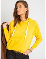 Джемпер для женщин, желтый цена и информация | Женские кофты | kaup24.ee