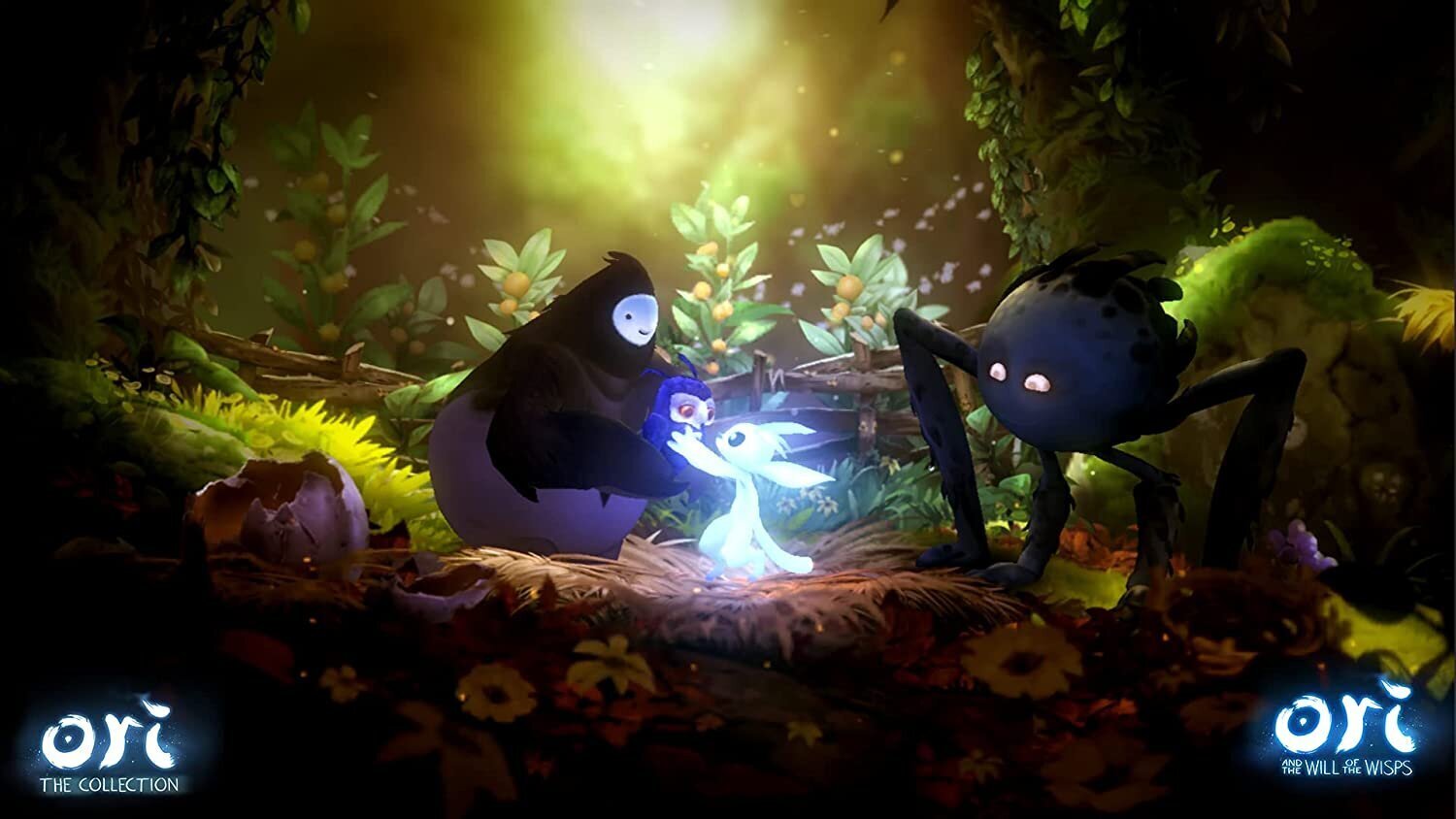 Компьютерная игра Switch Ori: The Collection - 2 Great Games in 1 incl. Art  Cards цена | kaup24.ee