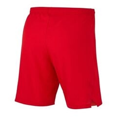 Meeste lühikesed spordipüksid Nike Laser Woven IV Short hind ja info | Meeste spordiriided | kaup24.ee