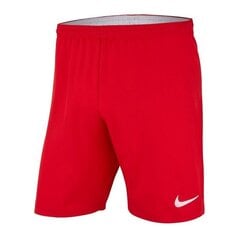 Спортивные шорты для мужчин Nike Laser Woven IV Short цена и информация | Мужская спортивная одежда | kaup24.ee