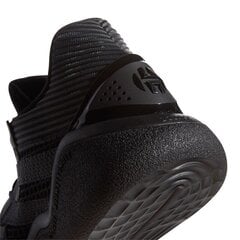 Баскетбольные кроссовки мужские Adidas Harden Stepback M FW8487 63354 цена и информация | Кроссовки для мужчин | kaup24.ee