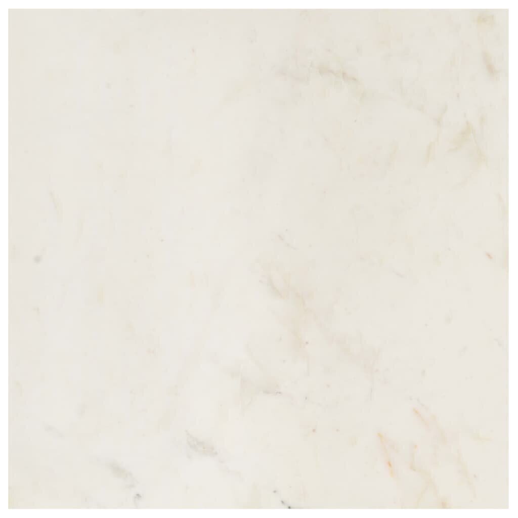 vidaXL kohvilaud, valge, 60x60x35 cm, ehtne kivi marmori tekstuuriga hind ja info | Diivanilauad | kaup24.ee
