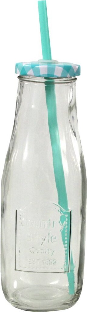 Joogipurk kaane ja kõrrega 400 ml цена и информация | Klaasid, tassid ja kannud | kaup24.ee
