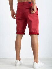Мужские шорты 48009-2 цена и информация | Мужские шорты | kaup24.ee