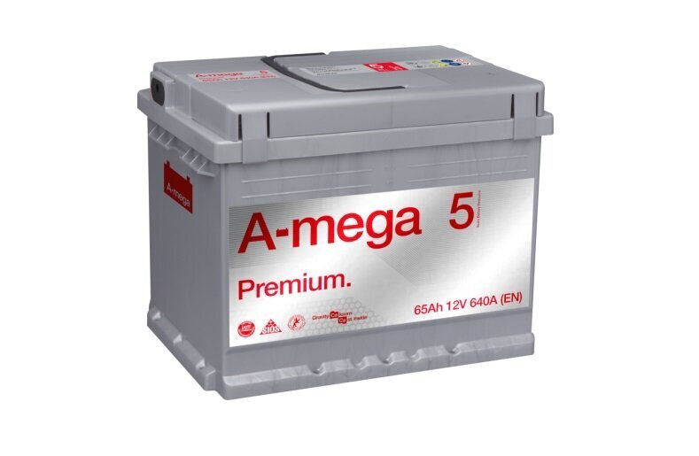 Aku A-Mega Premium 60 Ah 600A 12 V hind ja info | Akud | kaup24.ee