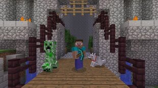 Minecraft, PS3 hind ja info | Arvutimängud, konsoolimängud | kaup24.ee