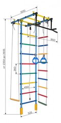 Спорткомплекс (гимнастическая стенка) АТЛАНТ, бело-радужный, 235-293x52,5 см цена и информация | Шведские стенки | kaup24.ee