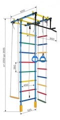 Spordikompleks (võimlemissein) ATLANT, valge-must, 235-293x52,5 cm цена и информация | Шведские стенки | kaup24.ee