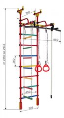 Спортивный комплекс (гимнастическая стенка) Жирафик, оранжево-радужный, 235-293x52,5 см цена и информация | Шведские стенки | kaup24.ee