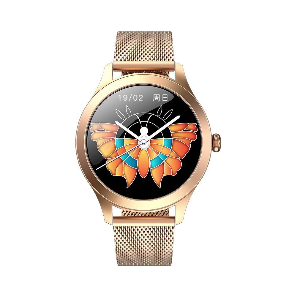 MaxCom Fit FW42, Gold hind ja info | Nutikellad (smartwatch) | kaup24.ee