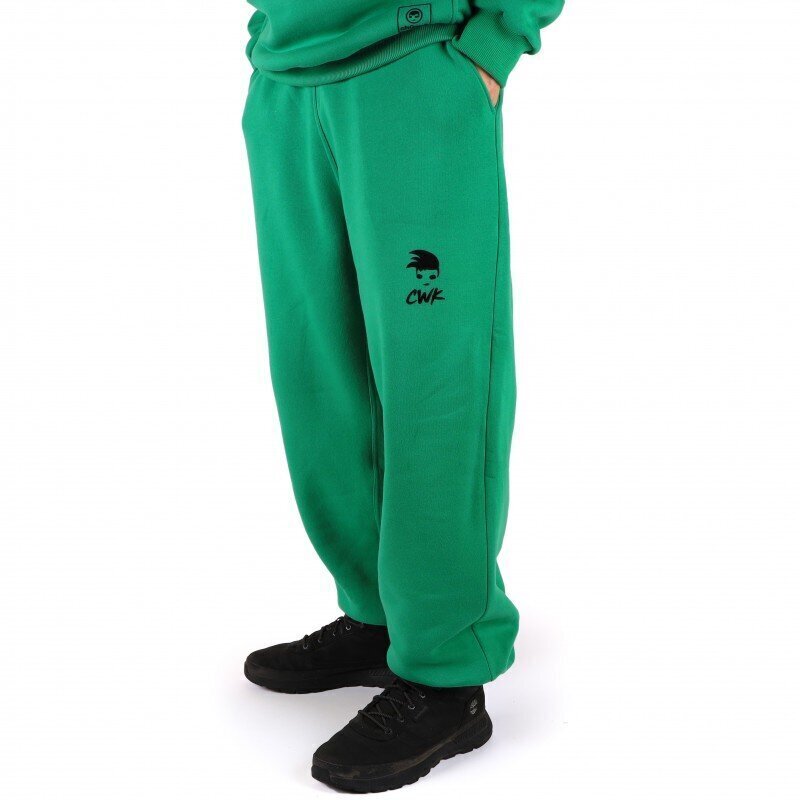 Meeste spordipüksid Tailored Pants, roheline hind ja info | Meeste spordiriided | kaup24.ee