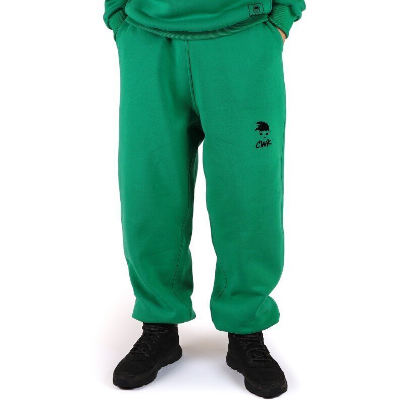 Meeste spordipüksid Tailored Pants, roheline hind ja info | Meeste spordiriided | kaup24.ee