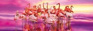 Pusle Clementoni "Flamingo tants", 1000-osaline hind ja info | Pusled | kaup24.ee