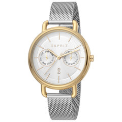 Женские часы Esprit ES1L179M0105 цена и информация | Женские часы | kaup24.ee