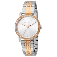 Женские часы Esprit ES1L183M2095 цена и информация | Женские часы | kaup24.ee
