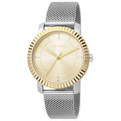 Женские часы Esprit ES1L184M0045 цена и информация | Женские часы | kaup24.ee