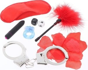 Набор секс-товаров The Kinky Fantasy Kit, 8 частей цена и информация | Наборы секс-товаров | kaup24.ee