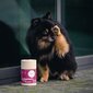 Toidulisand Mycani Liebestoll koertele ja kassidele hormonaalsüsteemi parandamiseks hind ja info | Vitamiinid, toidulisandid ja parasiitide vastased tooted | kaup24.ee