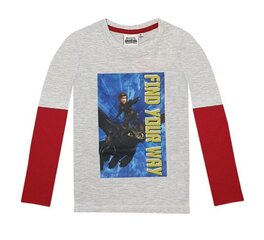 Футболка для мальчиков DreamWorks Dragon с длинными рукавами, серый/красный цена и информация | Рубашки для мальчиков | kaup24.ee