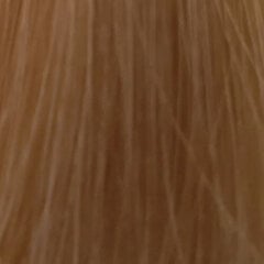 Краска для волос L'oreal Inoa High Resist 10.23, 60 мл цена и информация | Краска для волос | kaup24.ee