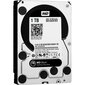 Western Digital WD1003FZEX Black HDD 1TB 3.5" 7200RPM SATA3 64MB цена и информация | Sisemised kõvakettad (HDD, SSD, Hybrid) | kaup24.ee