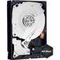 Western Digital WD1003FZEX Black HDD 1TB 3.5" 7200RPM SATA3 64MB цена и информация | Sisemised kõvakettad (HDD, SSD, Hybrid) | kaup24.ee