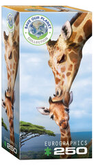 Пазл Eurographics, 8251-0294, Giraffes, 250 шт. цена и информация | Пазлы | kaup24.ee