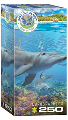 Пазл Eurographics, 8251-5560, Dolphins, 250 шт. цена и информация | Пазлы | kaup24.ee