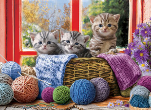 Пазл Eurographics, 6500-5500, Knittin` Kittens, 500 шт. цена и информация | Пазлы | kaup24.ee