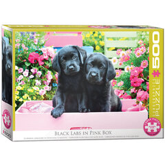 Pusle Eurographics, 6500-5462, Black Labs in Pink Box, 500 tk hind ja info | Pusled | kaup24.ee