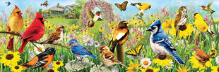 Pusle Eurographics, 6010-5338, Garden Birds, 1000 tk цена и информация | Пазлы | kaup24.ee