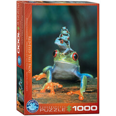 Пазл Eurographics, 6000-2776, Red-Eyed Tree Frog, 1000 шт. цена и информация | Пазлы | kaup24.ee