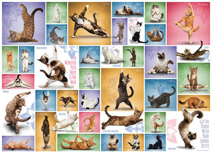 Pusle Eurographics, 6000-0953, Yoga Cats, 1000 tk hind ja info | Pusled | kaup24.ee