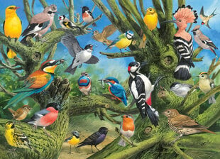 Pusle Eurographics, 6000-0967, Garden Birds, 1000 tk hind ja info | Pusled | kaup24.ee