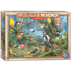 Pusle Eurographics, 6000-0967, Garden Birds, 1000 tk цена и информация | Пазлы | kaup24.ee